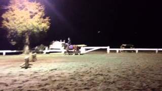 Hopes & Dreams (Cupcake) - trotting