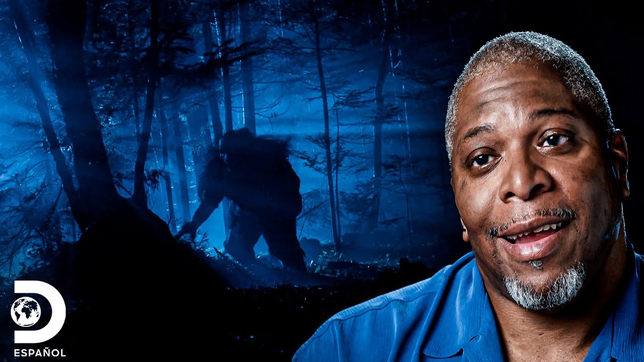 Una criatura enorme persigue a Roy y a sus amigos | Bosques Embrujados | Discovery en Español