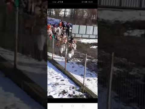 Turca Moara Carp 2019 - 2020