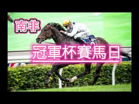 7月31日 南非 冠軍盃賽馬日!