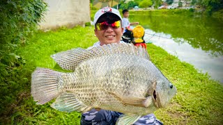 HỒ CÂU Ý RÂU - LÀO CAI