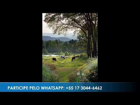 Programa: Caminho da Roça - 05/06/26 - Parte 1 - Apresentação: Paulinho
