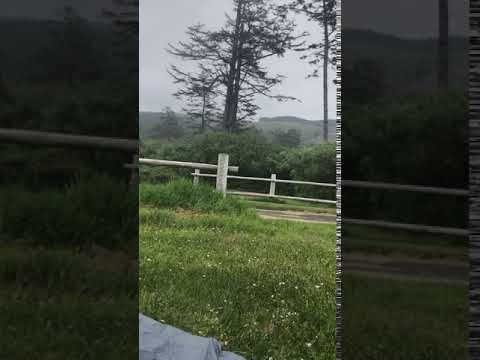 A video of the view looking out from our tent.