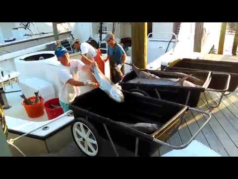 Unloading the catch!