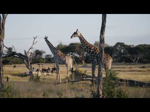 The Hide Safari Camp Experience