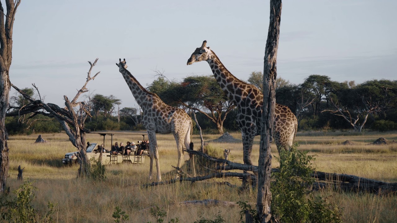 The Hide Safari Camp Experience