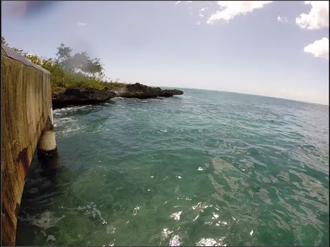 Día en Bayahibe