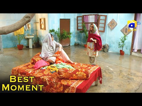 Grift Episode 41 || Ali Abbas - Saniya Shamshad || 𝐁𝐞𝐬𝐭 𝐌𝐨𝐦𝐞𝐧𝐭 𝟎𝟔 || Har Pal Geo