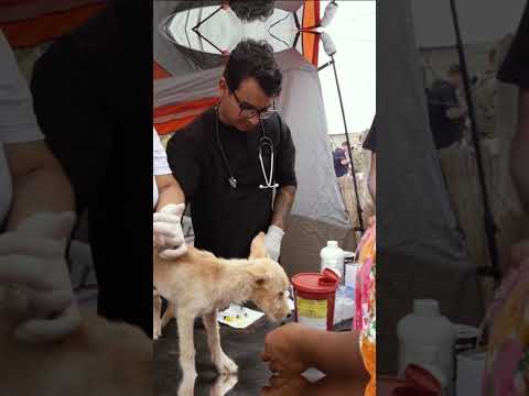 La unión hace la fuerza