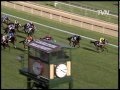 Northerly (2002) - Golden Caulfield Cup Moments