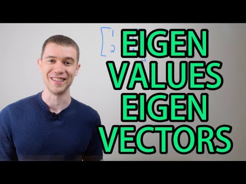Eigenvalues and Eigenvectors 2x2 Matrix - YouTube
