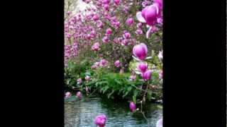 Pavel-Nedjelja popodne