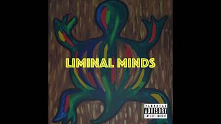 Obasi — Liminal Minds Full Album (Official Audio)