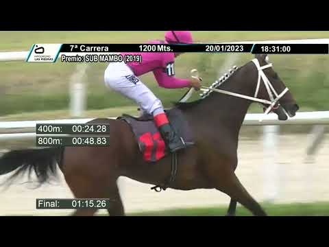 230120 c07 - SALOMON - HIPODROMO LAS PIEDRAS