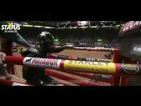 Status de rodeio ❤✅🐂