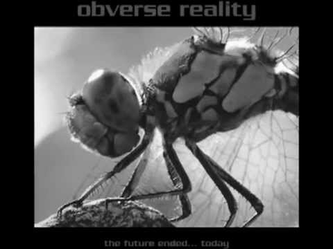 obverse reality - parasite