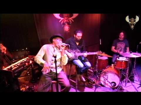 Archie Lee Hooker - Jockey Blues - live for Bluesmoose radio