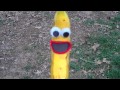 Dance Banana Dance 