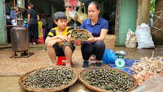 Harvesting Snail Goes to the market sell | Cooking - Lý Thị Ca