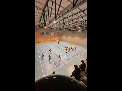 CV Palestra- CV Alcores fem