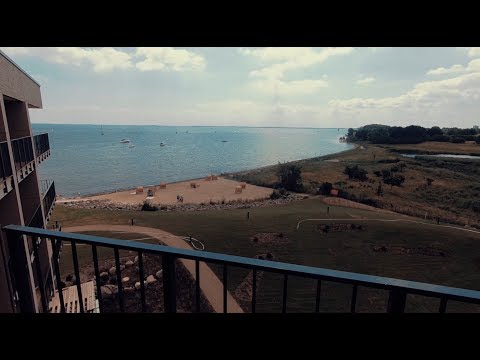 Wir sind ARBOREA 💛