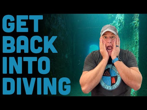 5 Tips For Getting Back Into Scuba Diving After A Scare