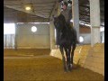Жаркова Галина - 1ч. Работа профессионала или. 