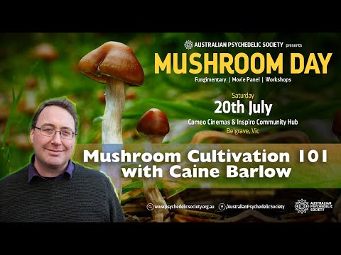 Melbourne Mushroom Day 2019 - Mushroom Cultivation 101 with Caine Barlow