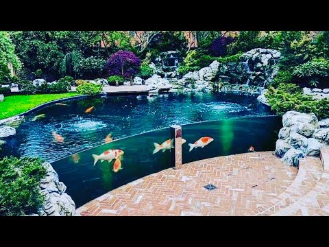 THE MOST BEAUTIFUL BACKYARD FISH PONDS IN THE WORLD