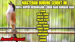 Download lagu MASTERAN KICAU BURUNG CENDET FULL ISIAN TERBAIK SEPANJANG MASA mp3