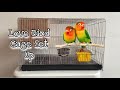 How To Set Up Breeding Cage | Opaline Love Bird