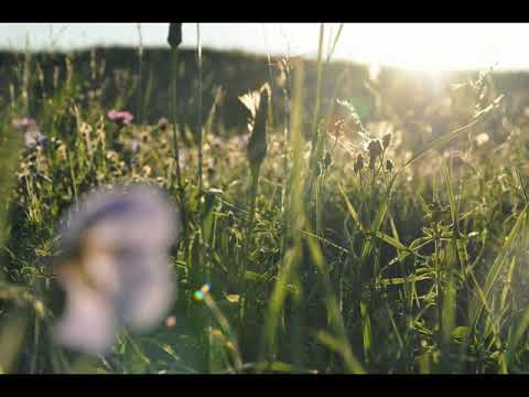 Dajana Margetová & ĽH Borievka (2017)