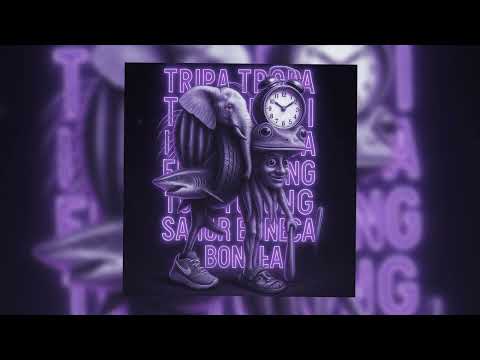 TRIPA TROPA TRALALA LIRILILA TUNG TUNG SAHUR BONECA FUNK ( SPEED UP ) MAXCÊ NO BEAT ,DJ 2R SUCESSADA