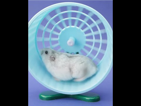 Smono 5 Vaporizer - coming December 2020