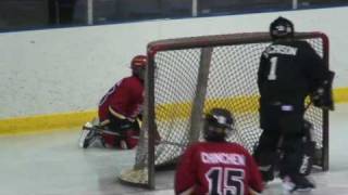 preview picture of video 'Andrew Muirhead Goal 20090214 Leaside Flames Gold 1997 Select Minor Peewee 2008-09 Season'