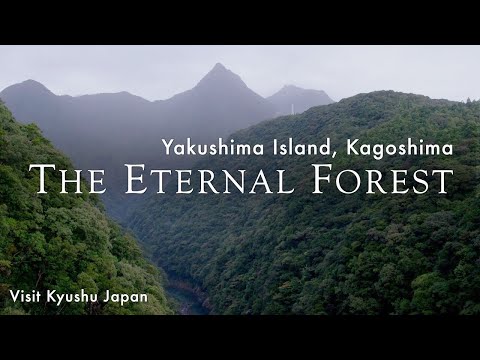 Eternal Forest（Long ver.）