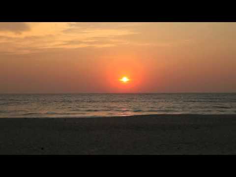 Totally Enormous Extinct Dinosaurs: Dream On