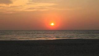 Totally Enormous Extinct Dinosaurs: Dream On