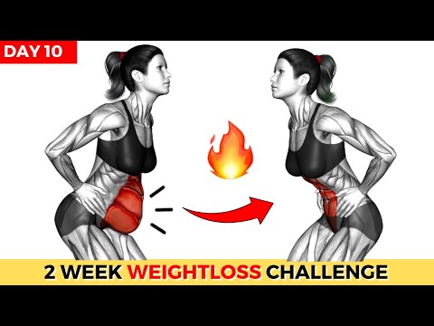 Do This 30 Min Everyday To Lose Weight Belly Fat 2 Weeks Shred Challenge DAY 1