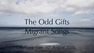 Video The Odd Gifts – Migrant Songs (Teaser)
