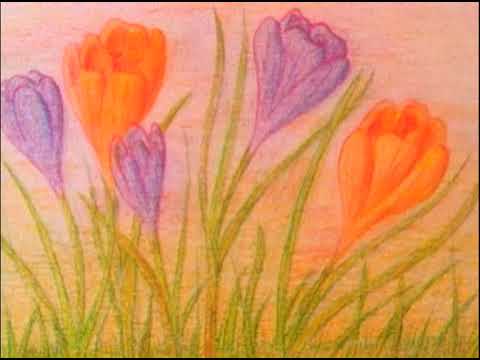 Video thumbnail for The Crocus