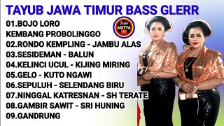 Download lagu TAYUB JAWA TIMUR BASS GLERR | Bojo loro Tayub Sedekah Bumi  mp3
