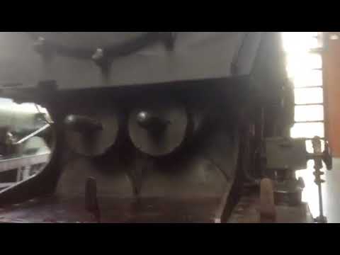 The ugly duckling q1