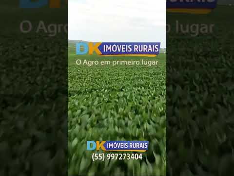 🚜 Fazendas à Venda e Arrendamento no RS | Oportunidades para Investidores e Produtores 🌾