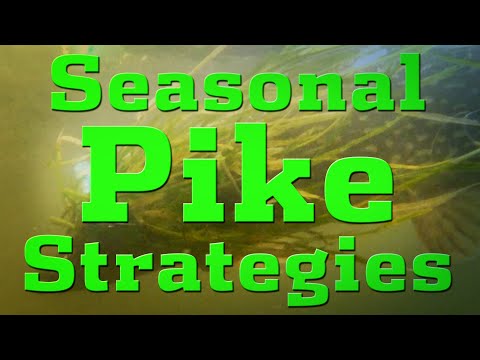 Seasonal Pike Strategies
