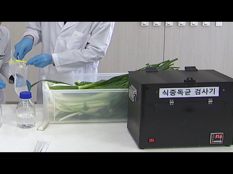 가격 확 낮춘 장비로 간편하게 식중독균 검사한다 / 연합뉴스TV(YonhapnewsTV)