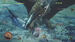 【MHWilds】歴戦王レダウ　片手剣　4分35くらい　会長の手習い