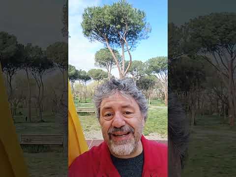 La maledizione dei Kennedy secondo Chatgpt