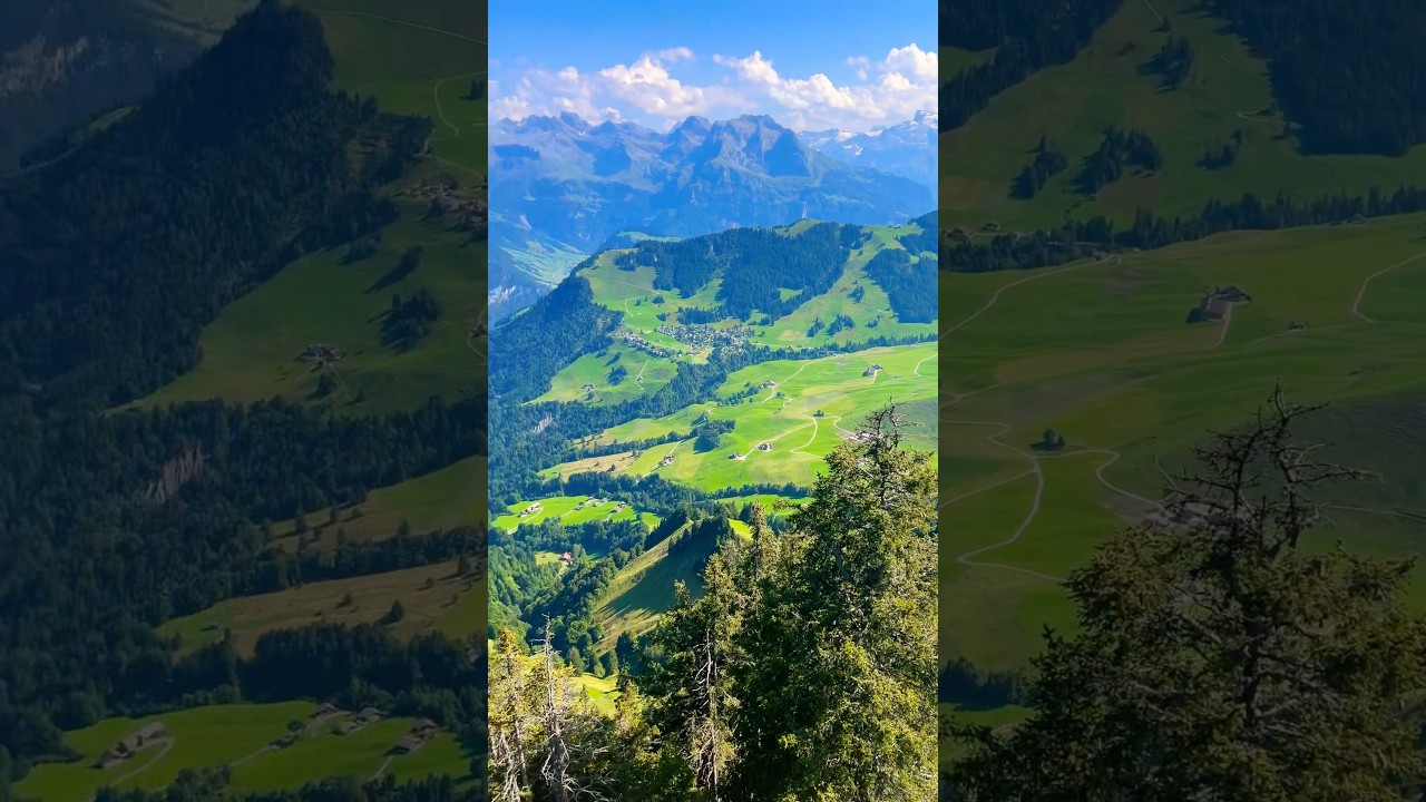 YouTube Short thumbnail