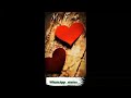 Feeling Words WhatsApp Status No Watermark